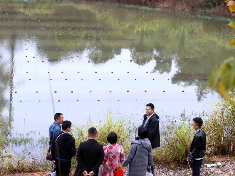 ���ι���|UB8���ι���|��������δ��