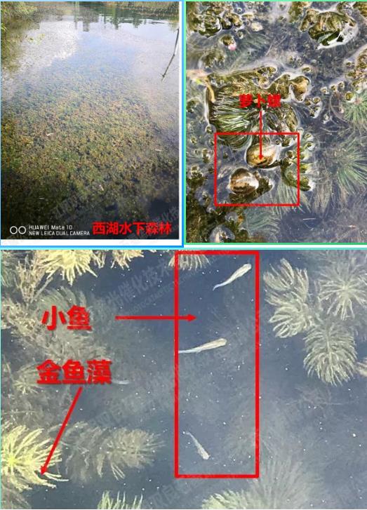 ���ι���|UB8���ι���|��������δ��