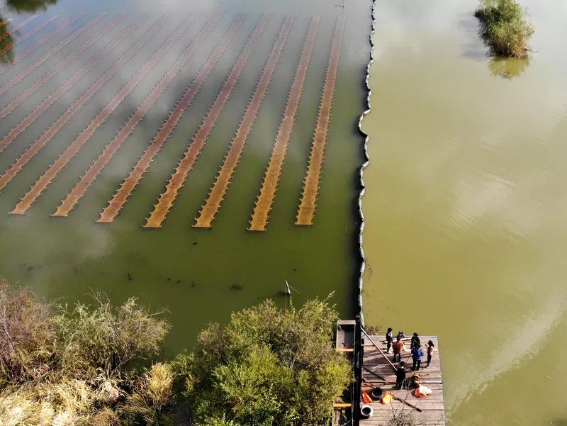 ���ι���|UB8���ι���|��������δ��