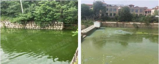 ���ι���|UB8���ι���|��������δ��