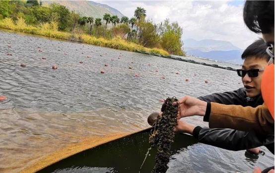 ���ι���|UB8���ι���|��������δ��