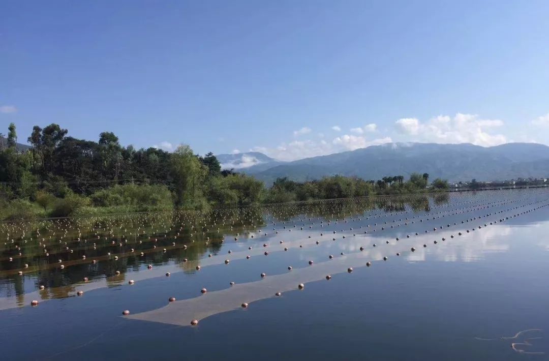 ���ι���|UB8���ι���|��������δ��