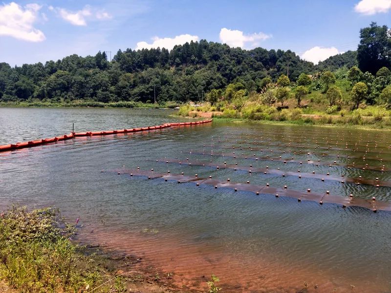 ���ι���|UB8���ι���|��������δ��