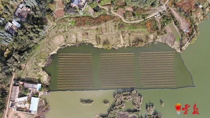 �ҿ�����������ӵ������������ƴ�����Դˮ��̬�޸�����