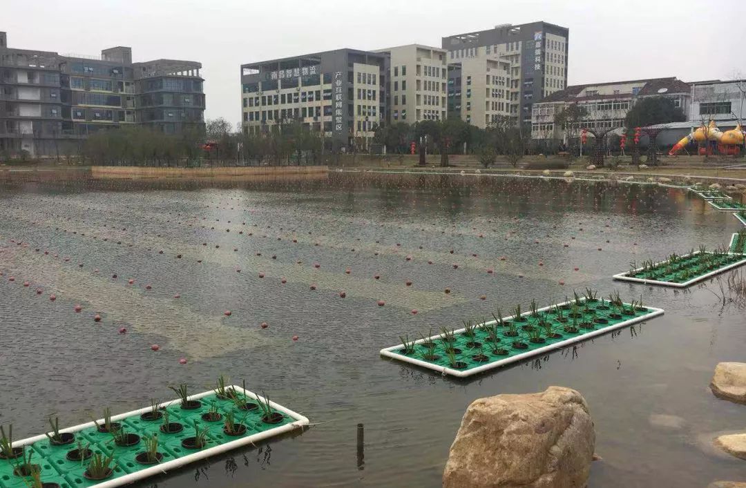 ���ι���|UB8���ι���|��������δ��