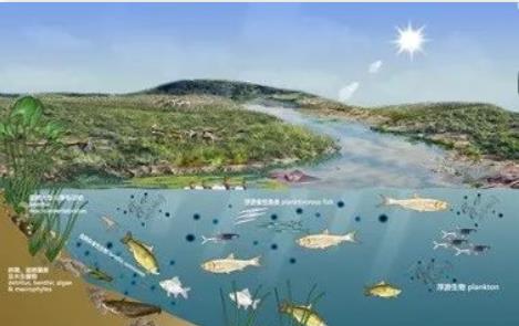 ˮ��̬���۱�׼���ۺ�����������ʵ��