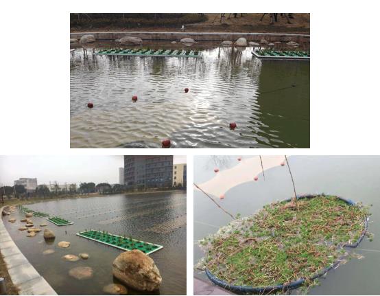 ���ι���|UB8���ι���|��������δ��