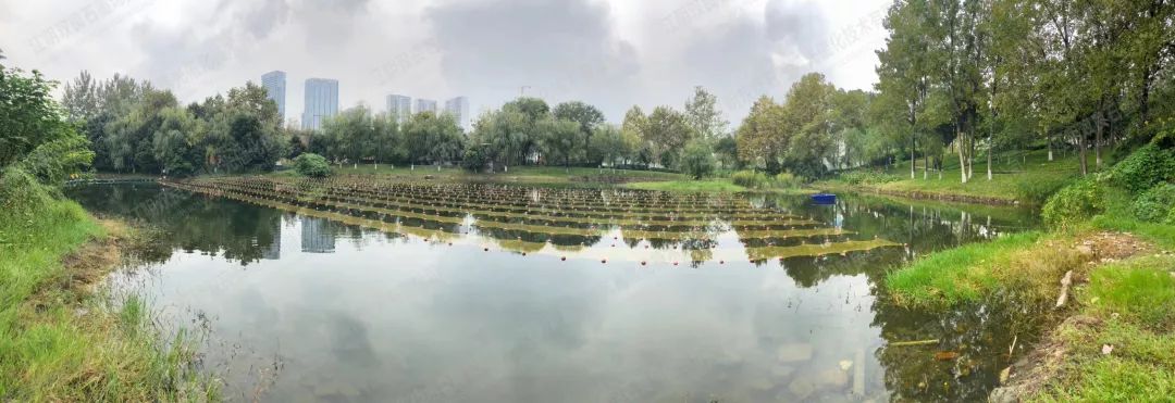 ���ι���|UB8���ι���|��������δ��