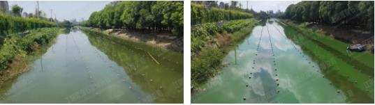 ���ι���|UB8���ι���|��������δ��