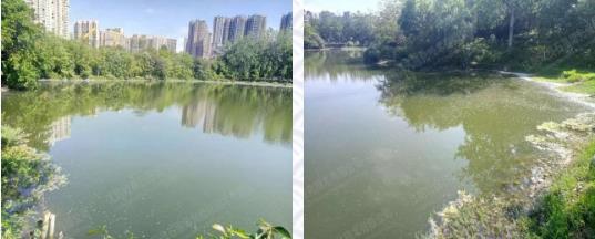 ���ι���|UB8���ι���|��������δ��