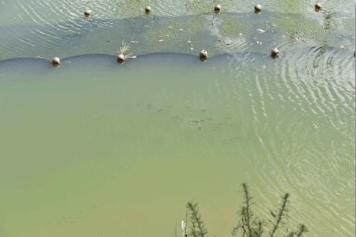 ���ι���|UB8���ι���|��������δ��