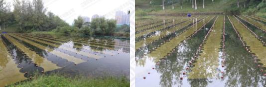 ���ι���|UB8���ι���|��������δ��