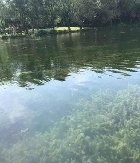 �ι���ub8�������ƹ�ˮ��̬�޸�����