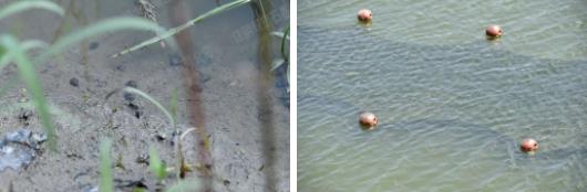 ���ι���|UB8���ι���|��������δ��