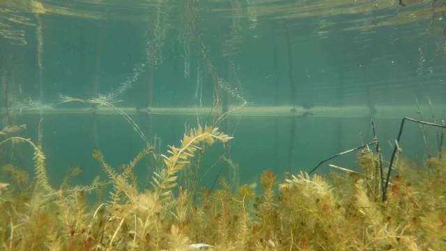 ���ι���|UB8���ι���|��������δ��