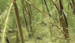 ���ι���|UB8���ι���|��������δ��