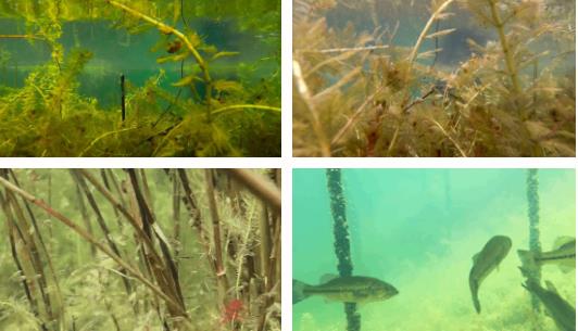 �ι���ub8���͹�߻������г�Ӧ���ƹ㽻�������Ϻ�˳���ٿ���