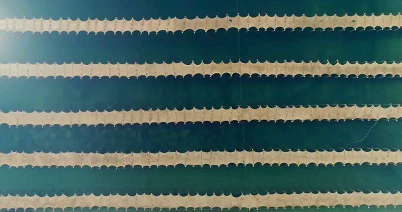 ���ι���|UB8���ι���|��������δ��