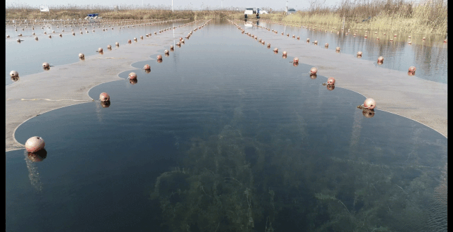 ���ι���|UB8���ι���|��������δ��