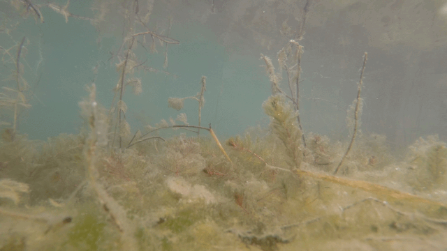 ���ι���|UB8���ι���|��������δ��