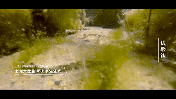 ���ι���|UB8���ι���|��������δ��