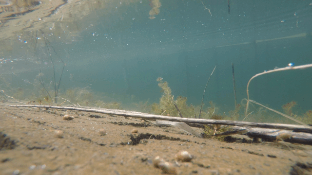 ���ι���|UB8���ι���|��������δ��