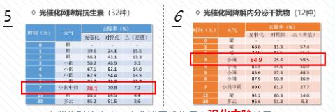 ���ι���|UB8���ι���|��������δ��