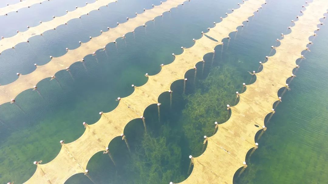 ����߻�������������ˮԴ��ˮ�ʹ���Ӧ��ר������ᡱ���Ϻ���������������ѧ����˳���ٿ�