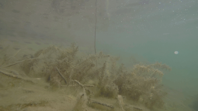 ���ι���|UB8���ι���|��������δ��