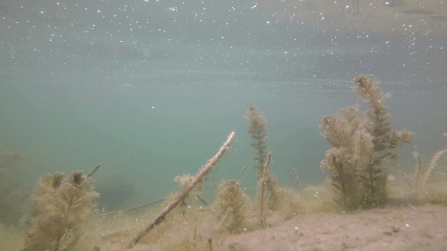 ���ι���|UB8���ι���|��������δ��