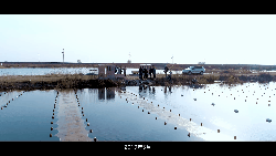 ���ι���|UB8���ι���|��������δ��