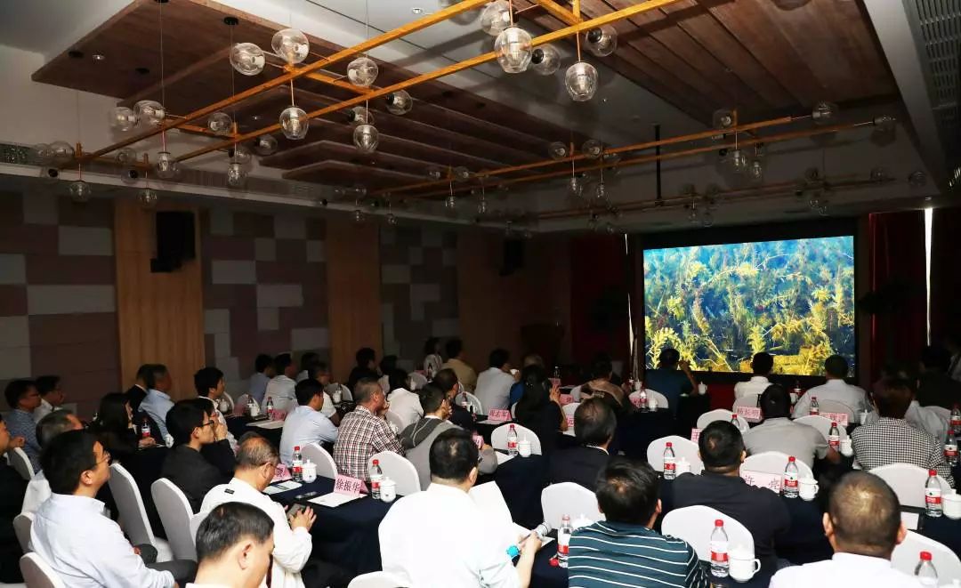 ���ι���|UB8���ι���|��������δ��