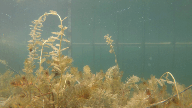 ���ι���|UB8���ι���|��������δ��