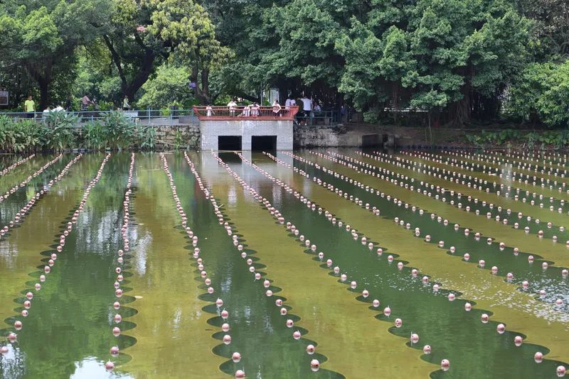 �����ι���ub8������ÿ����ҵ���з�����������