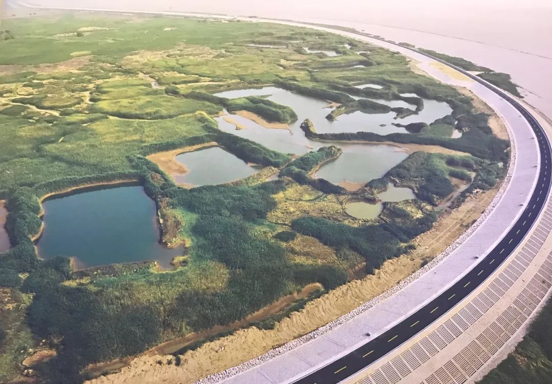 �Ϻ����ɳˮ������ʵ֤���ع���