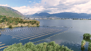 ���ι���|UB8���ι���|��������δ��