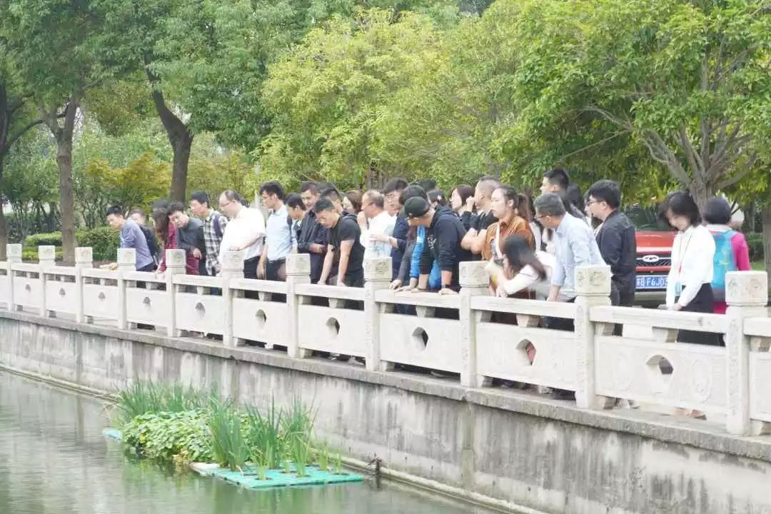 ���ι���|UB8���ι���|��������δ��