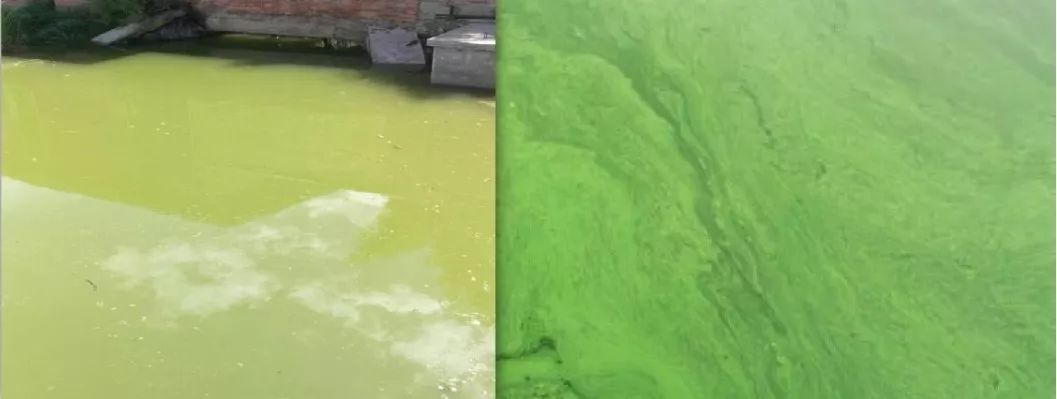 �㽭��������ֵ�����ˮ����������Ŀ�Ĺ����б�ͨ��