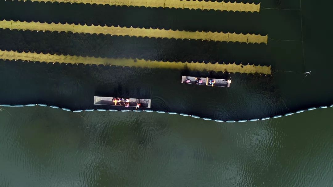 25.22�ڣ�ɽ�����Ǻ�����̬�޸�����ˮ��Դ��ʹ��PPP��Ŀ��������������������