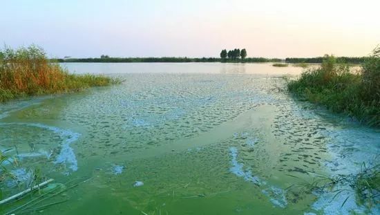 ��ˮ�����׵�ȥ��Ҫ��