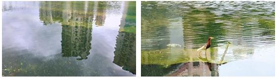 ���ι���|UB8���ι���|��������δ��