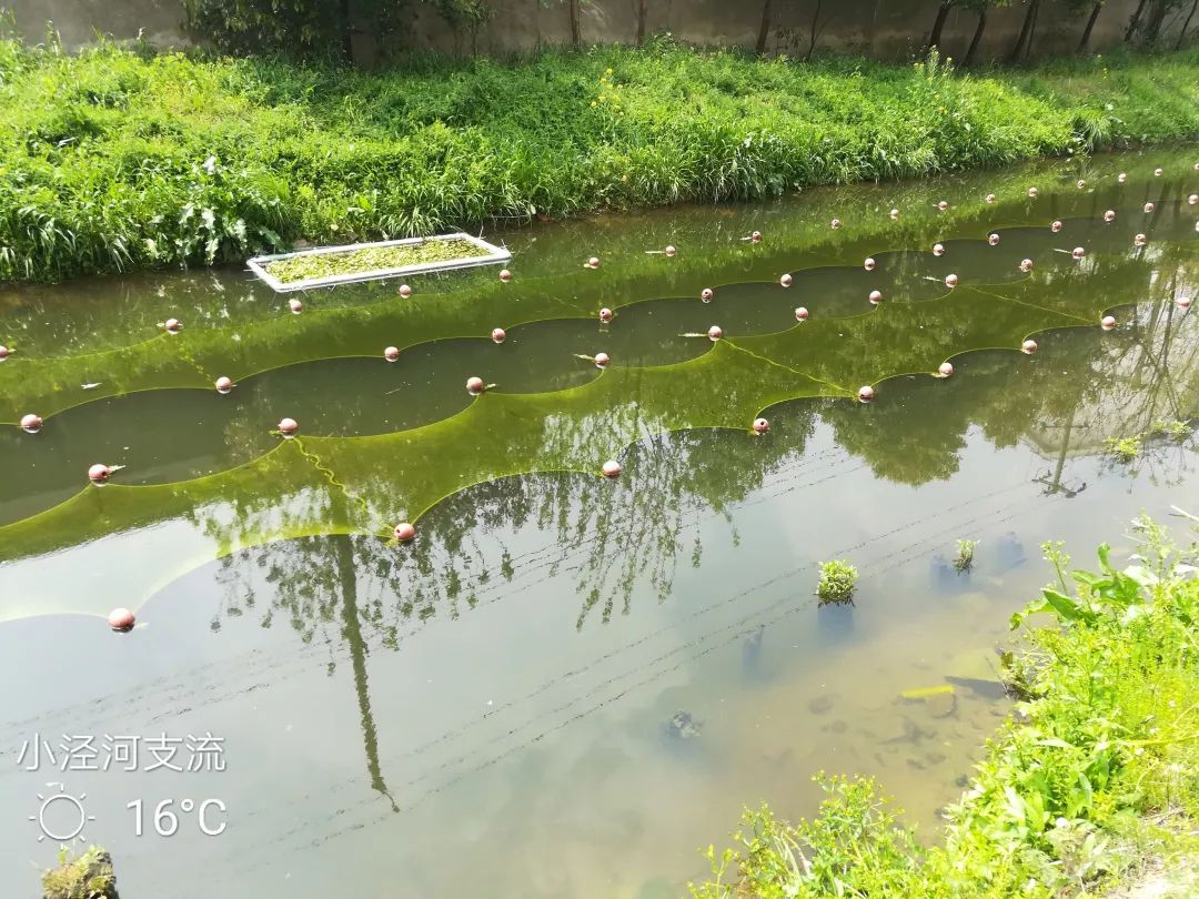 ���ι���|UB8���ι���|��������δ��