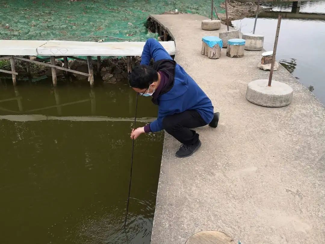 ���ι���|UB8���ι���|��������δ��