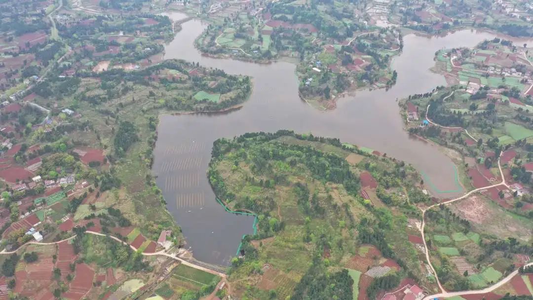 ������Ʒչ������ͶƱ����