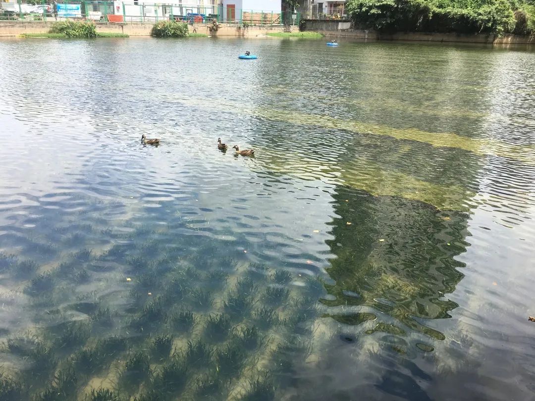 ���ι���|UB8���ι���|��������δ��