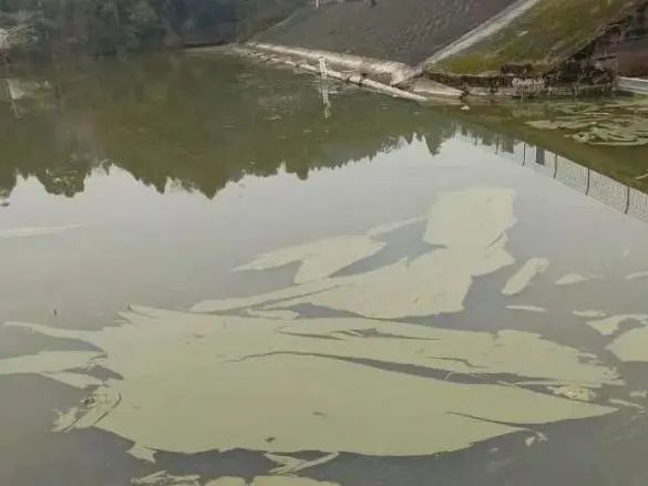 ���ι���|UB8���ι���|��������δ��