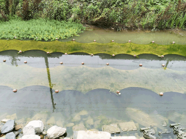 ���ι���|UB8���ι���|��������δ��