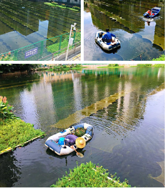 ���ι���|UB8���ι���|��������δ��