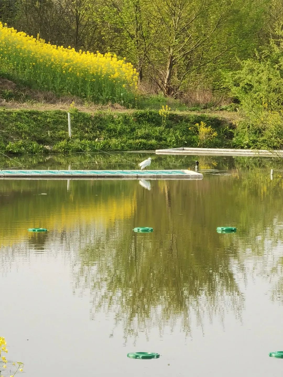 ���ι���|UB8���ι���|��������δ��