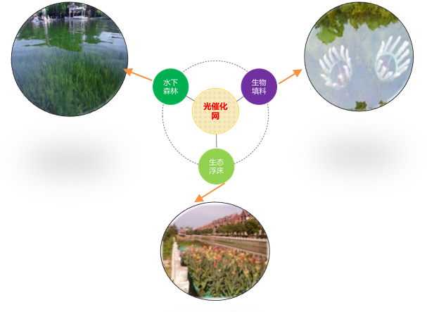 ���ι���|UB8���ι���|��������δ��